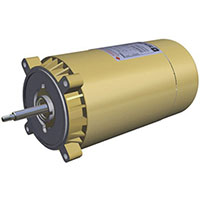 SPX1615Z1M 2 Hp Max Rated Motor